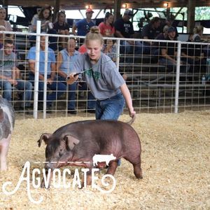 Meet your Posher, Allison